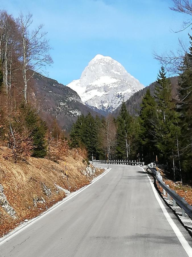 Zbogar Appartement Rateče Buitenkant foto